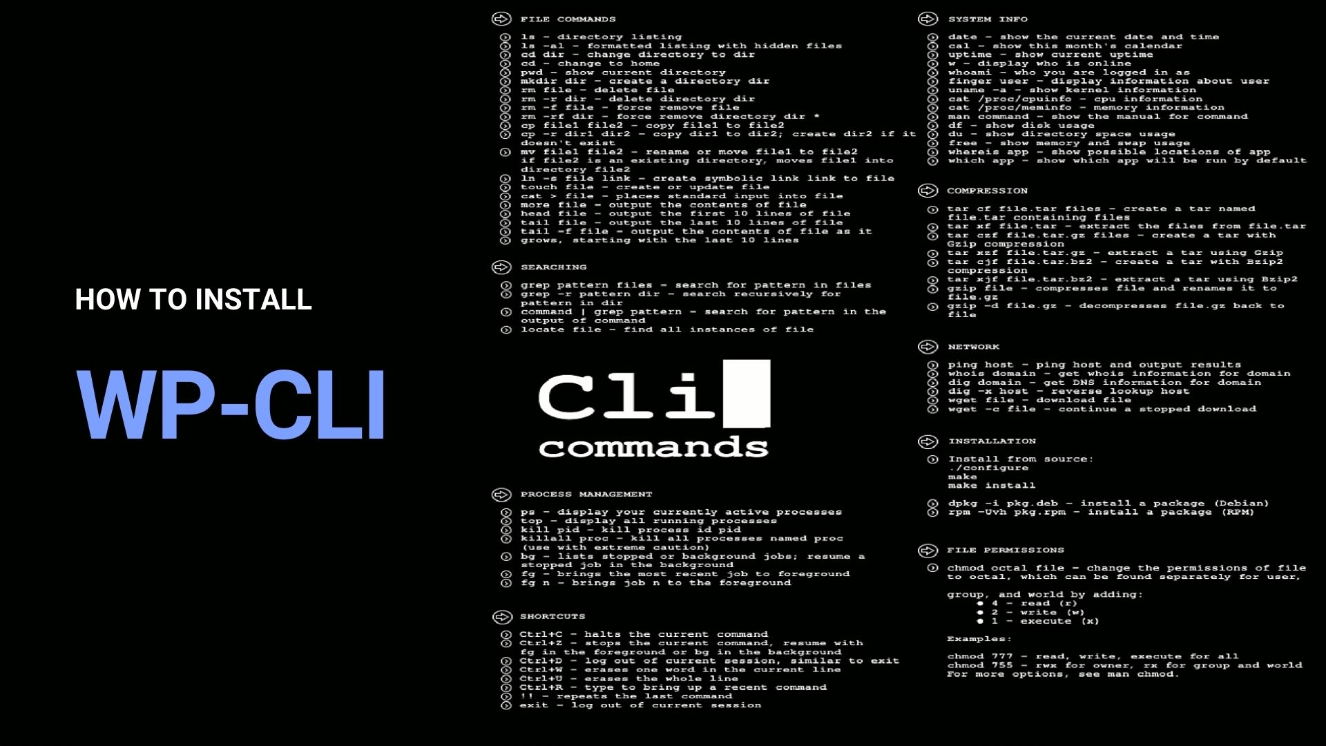 HOW TO INSTALL WP-CLI? - TD Web Services